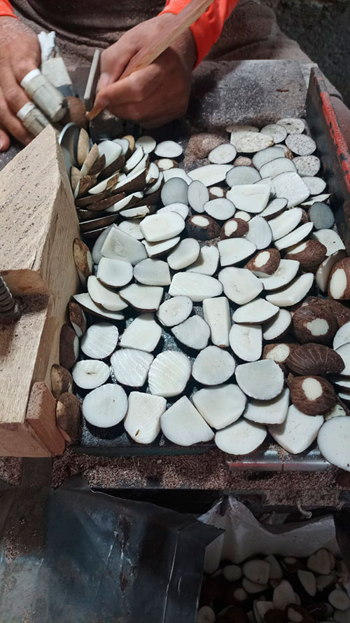 flat slices tagua blanks cut process