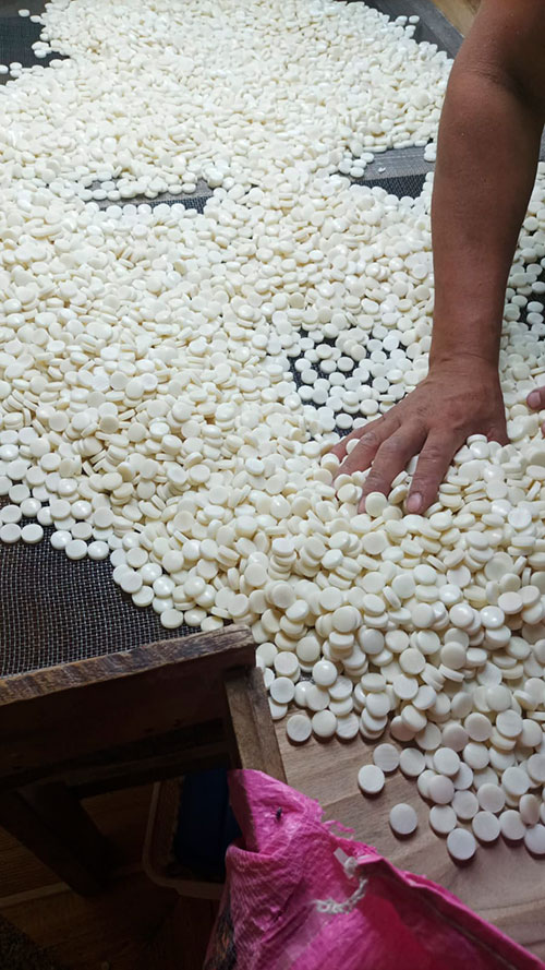 selection process tagua blanks